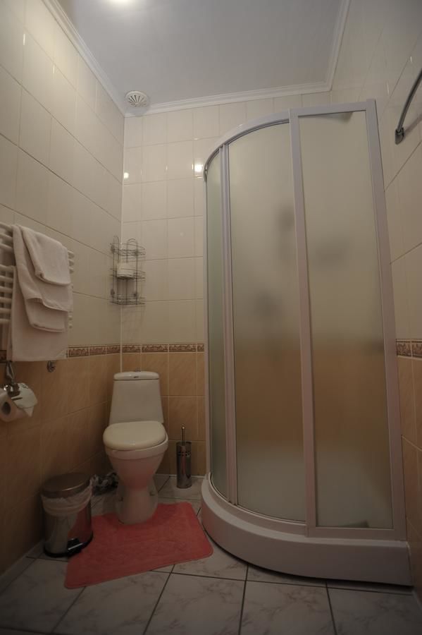 Отель Гостиница Стар Стрый-43